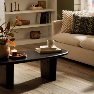 Paladin Plus 0278V-1056 Driftwood_Vignette